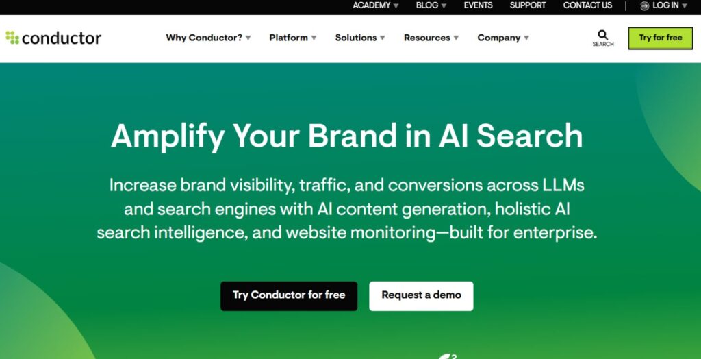 International SEO Agencies