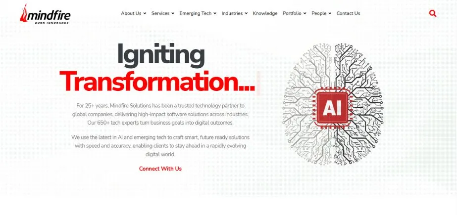 Mindfire Solutions - Python Development Companies