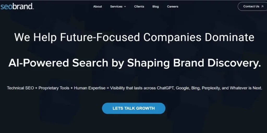 Semantic SEO Consultants and Agencies in the USA