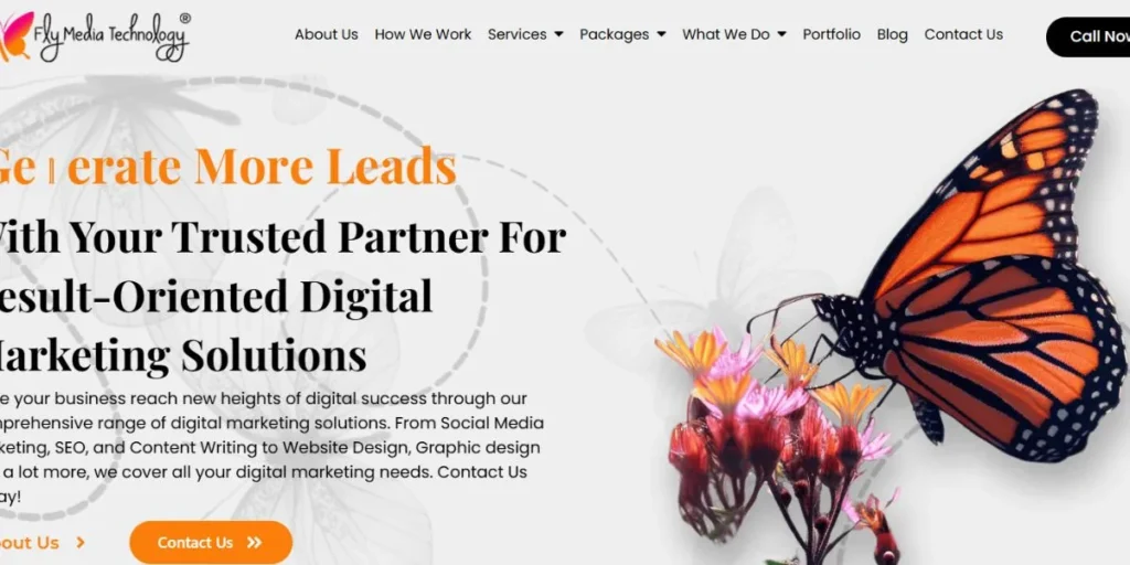 SEO Companies in Ludhiana