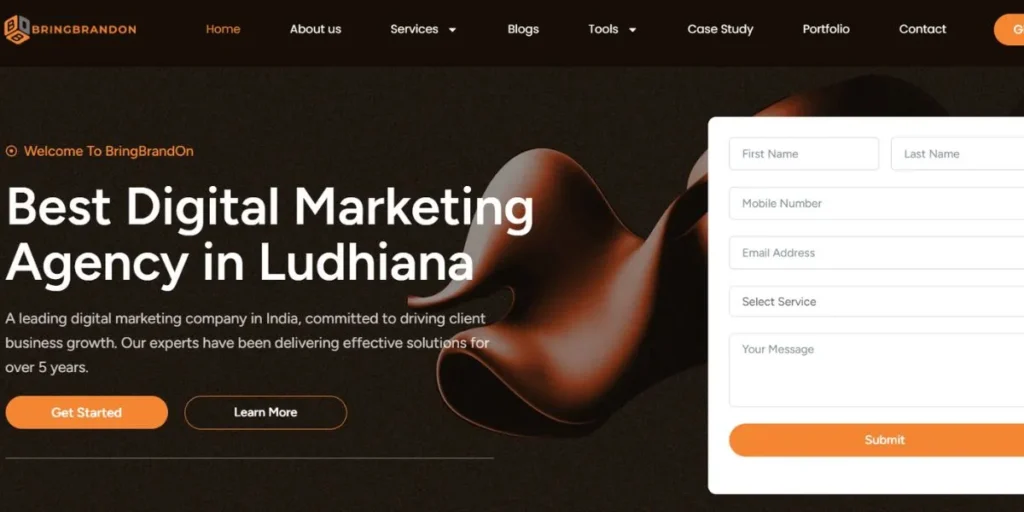 SEO Companies in Ludhiana