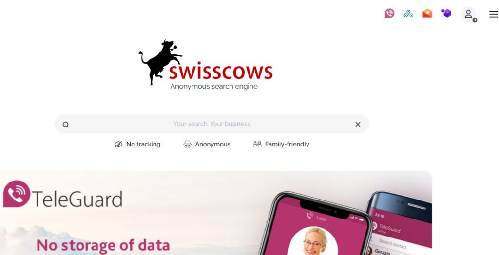 Alternatives to Google