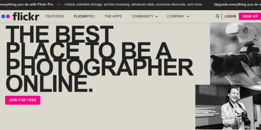 Pinterest Alternatives