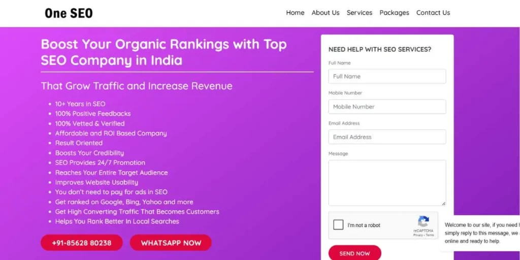 SEO Companies in Jaipur