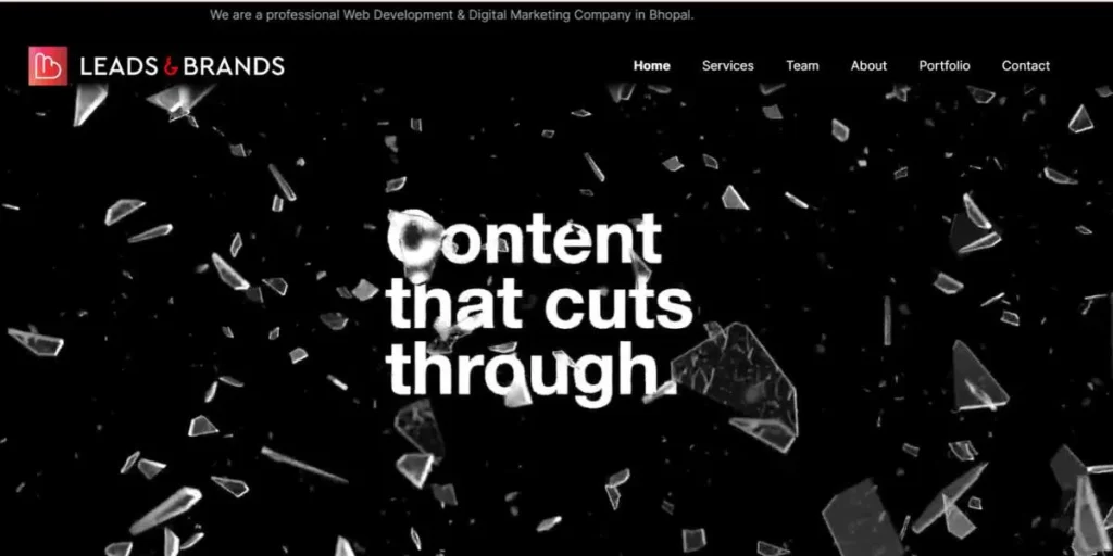 SEO Company in Bhopal