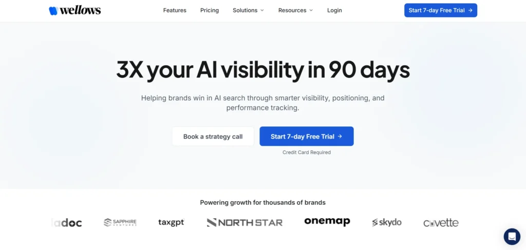 AI Visisbility Tool -Wellows