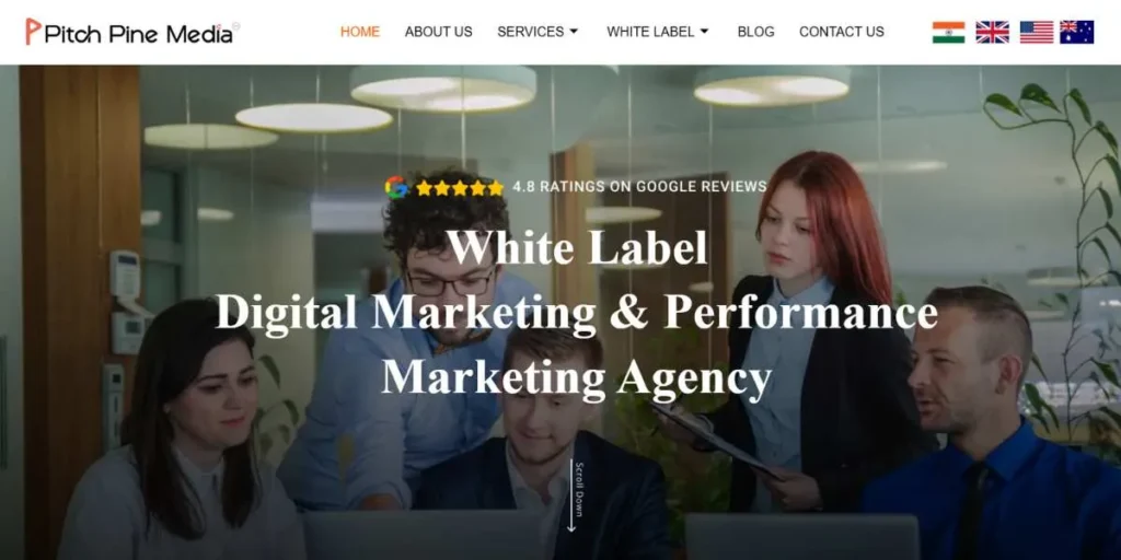 White Label PPC Agencies In India