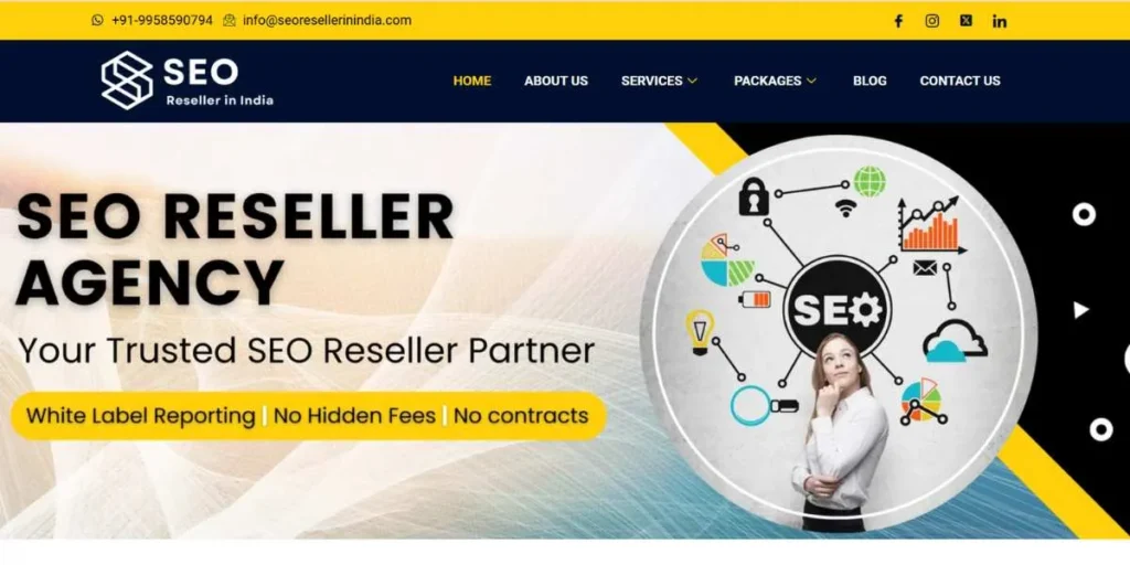 White Label PPC Agencies In India