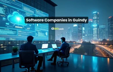 Software Companies in Guindy