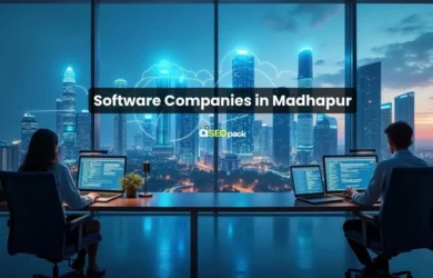Software Companies in Madhapur