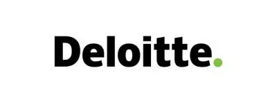 Big Four Companies in India