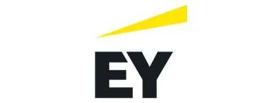 Big Four Companies in India