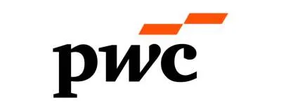 Big Four Companies in India