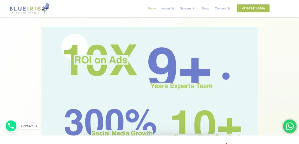 BlueIris - Social Media Marketing Company in Mumbai