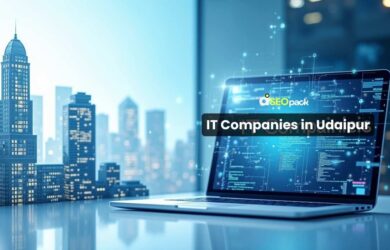 IT Companies in Udaipur