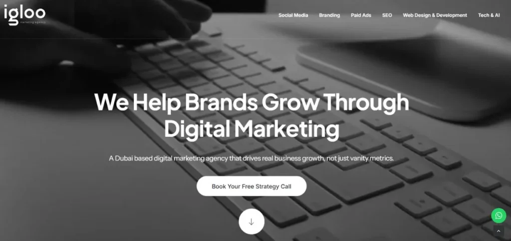 Igloo - SEO Agencies in Dubai