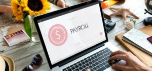 PPC Bid Management Software