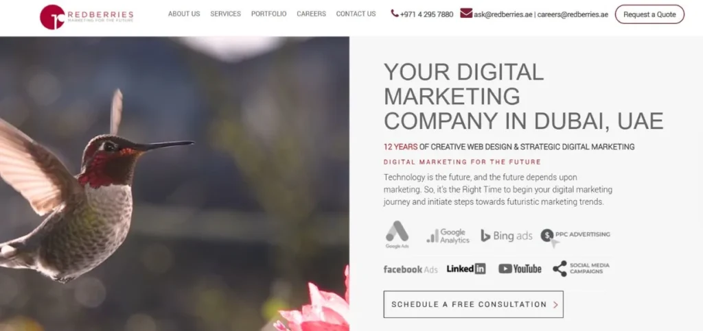 Red Berries - SEO Agencies in Dubai