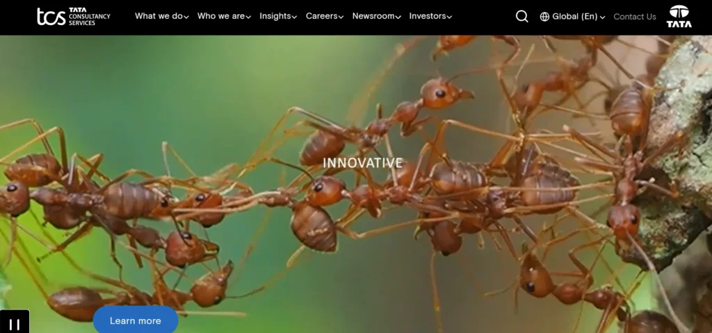 IT Company in India - Tata Consultancy Services