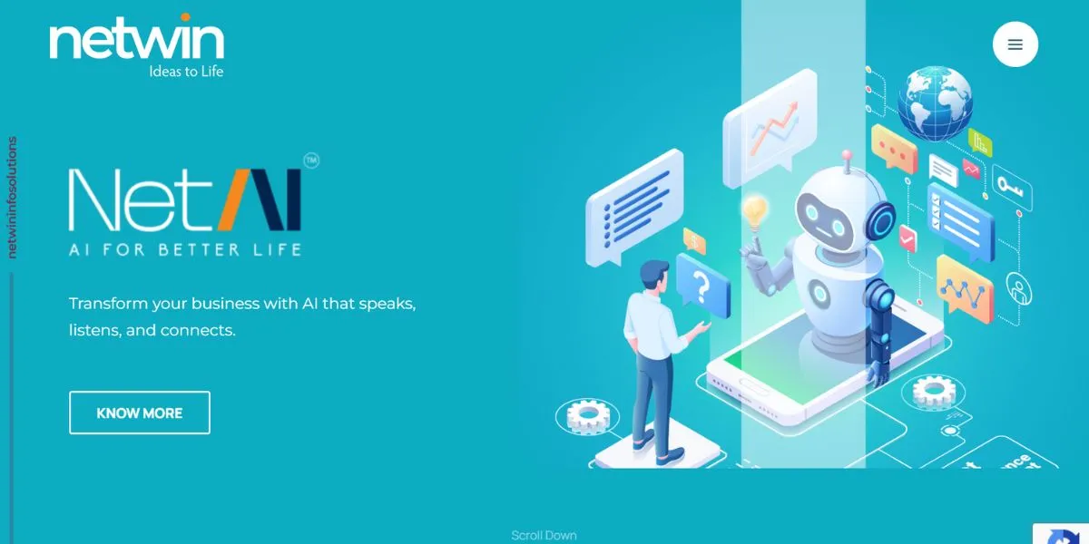 netwin - IT Companies in Nashik