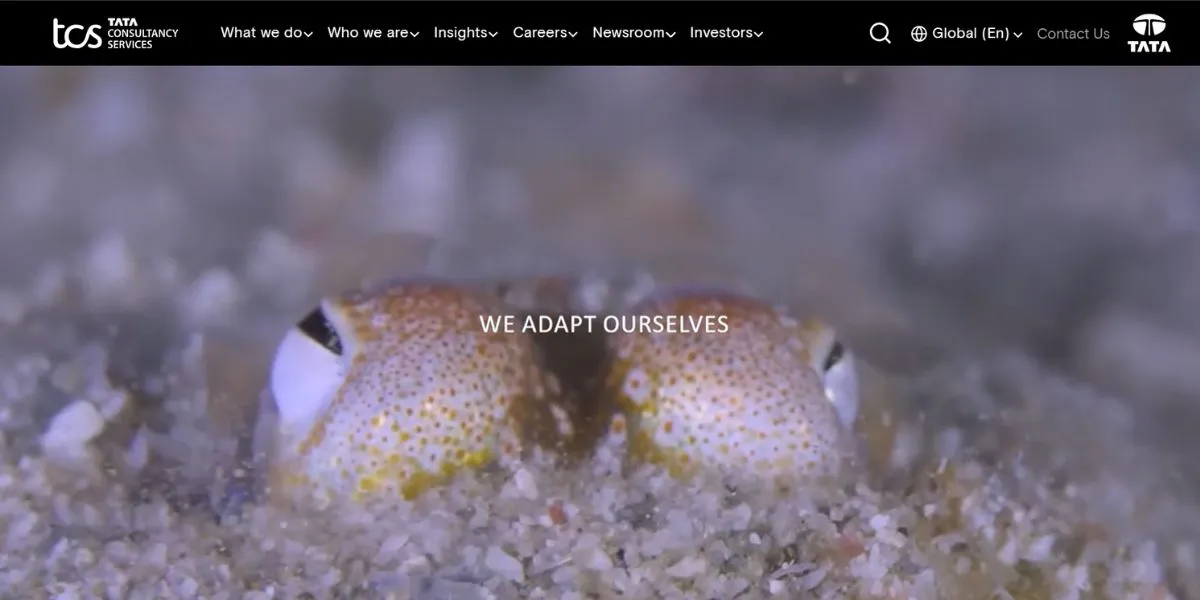 tcs - cybersecurity companies in Bangalore