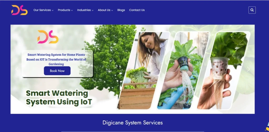 IT Companies in Greater Noida - Digicanesystems