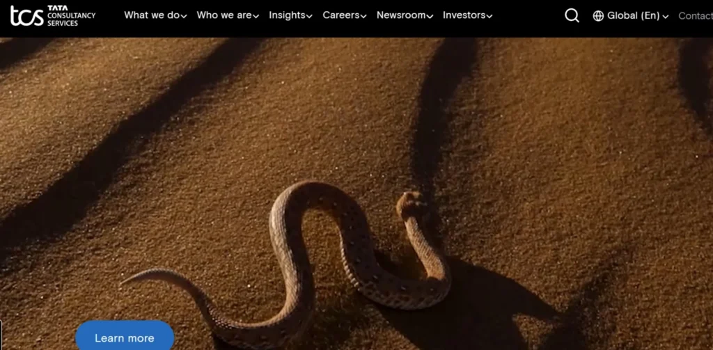 IT Companies in Greater Noida - Tata Consultancy Services