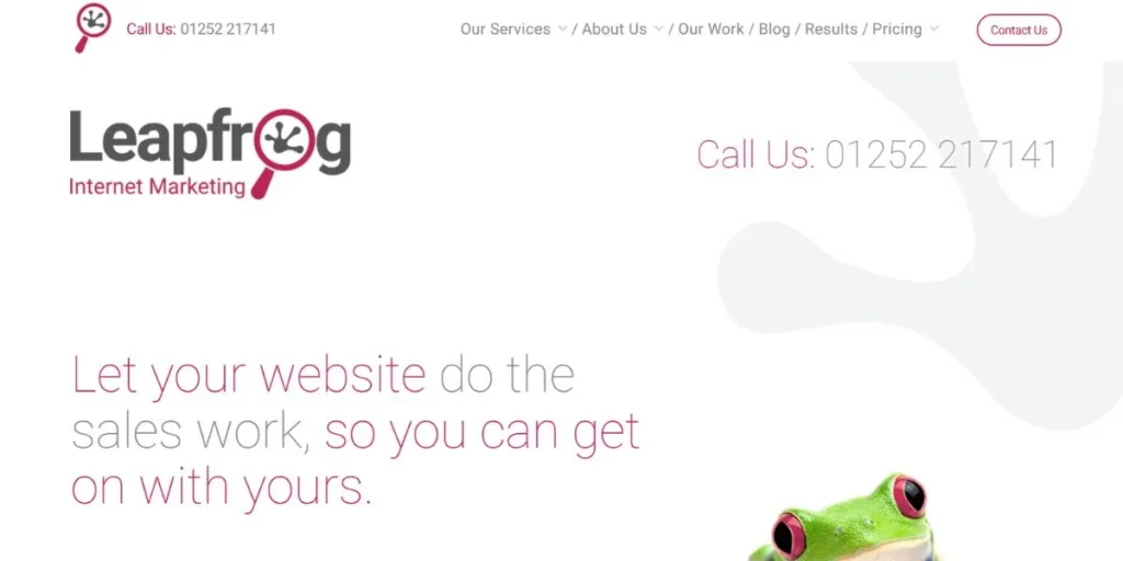 Leapfrog Internet Marketing - SEO Companies in Basingstoke