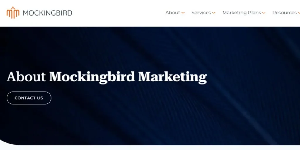  SEO Companies for Lawyers 