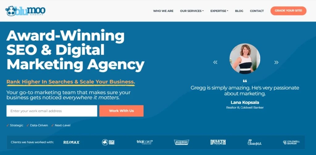 SEO Companies in Westminster - Blumoo Creative