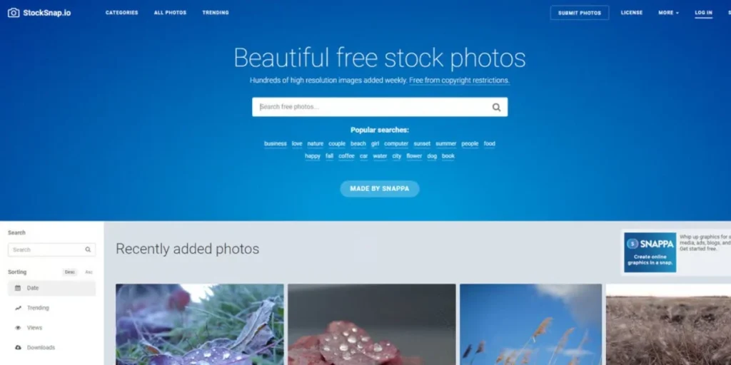 StockSnap.io - Best Free Stock Image Websites for Bloggers